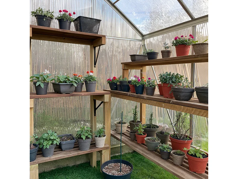 Serra da Giardino Policarbonato "Diamant 46" con Base - 2,28m², Porta Scorrevole, Lucernario e Grondaie