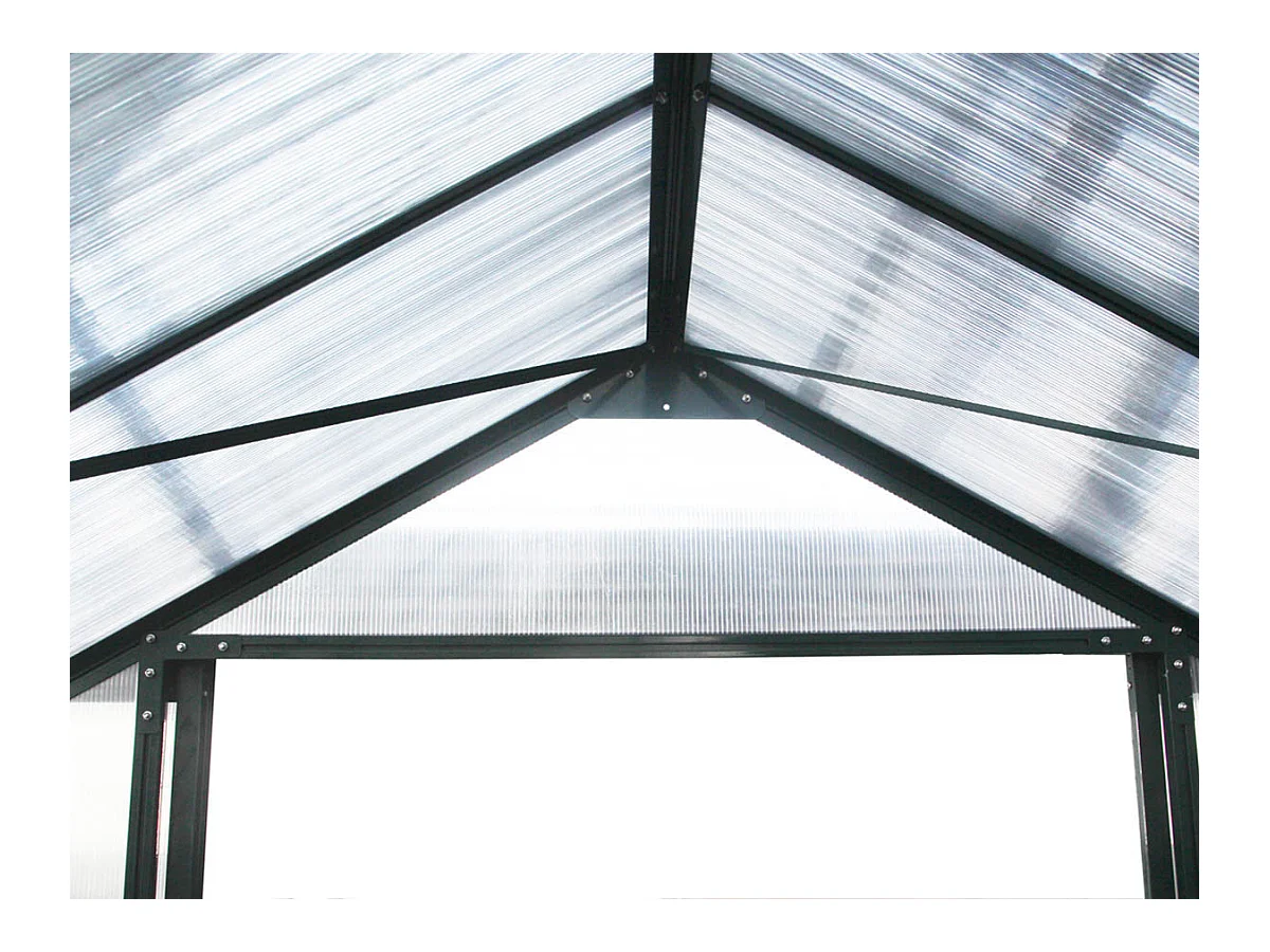 Invernadero de jardín de policarbonato "Dahlia" Verde Pino 13,29 m² - Aislamiento óptimo para tus plantas