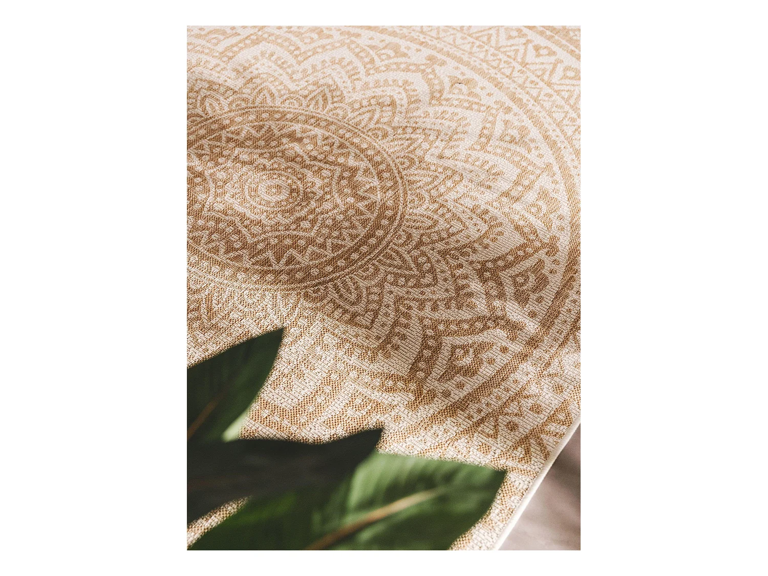 Tapis d'extérieur & intérieur Cleo Crème/Beige 160x230 cm