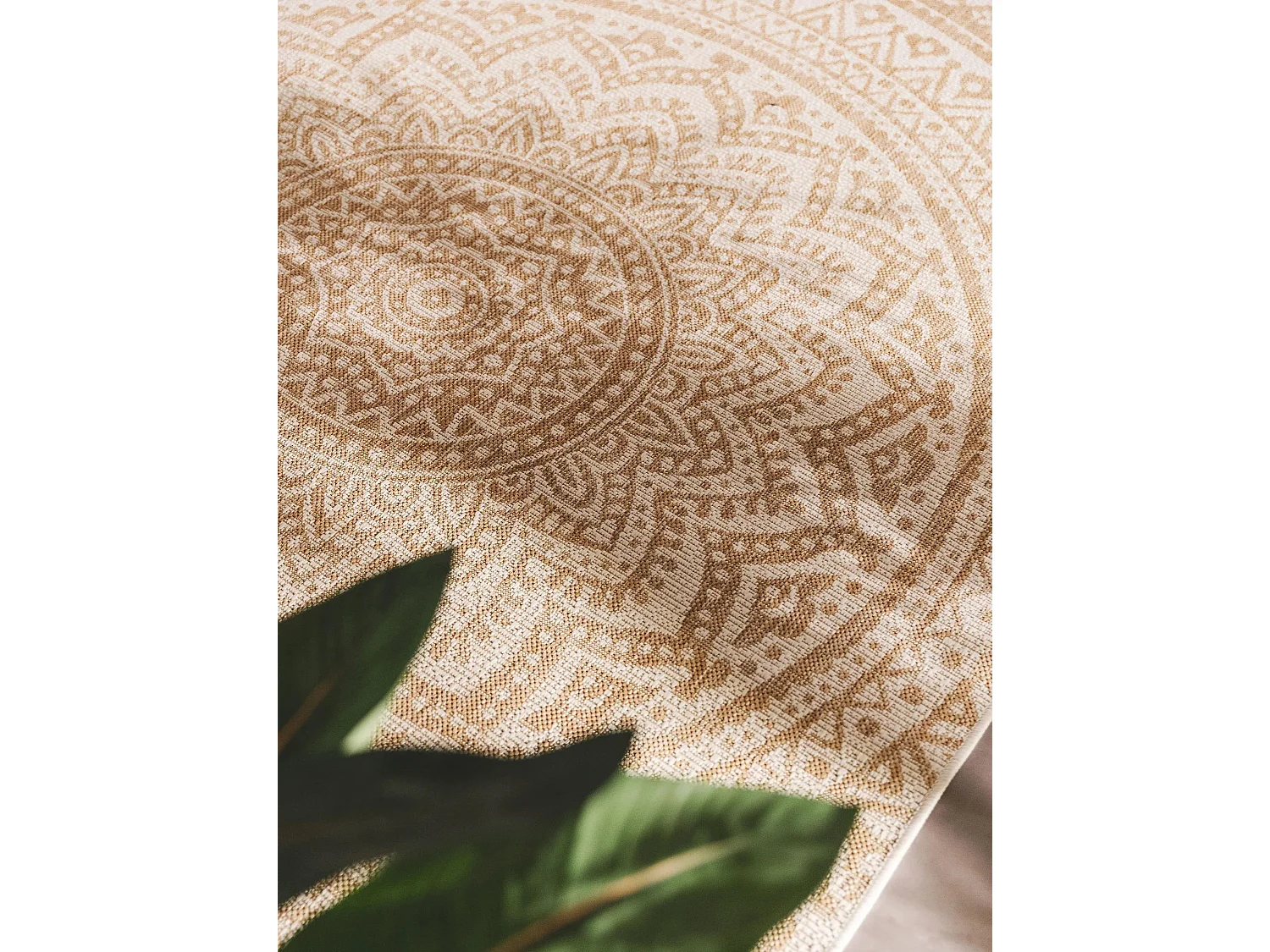 Tapis d'extérieur & intérieur Cleo Crème/Beige 140x200 cm