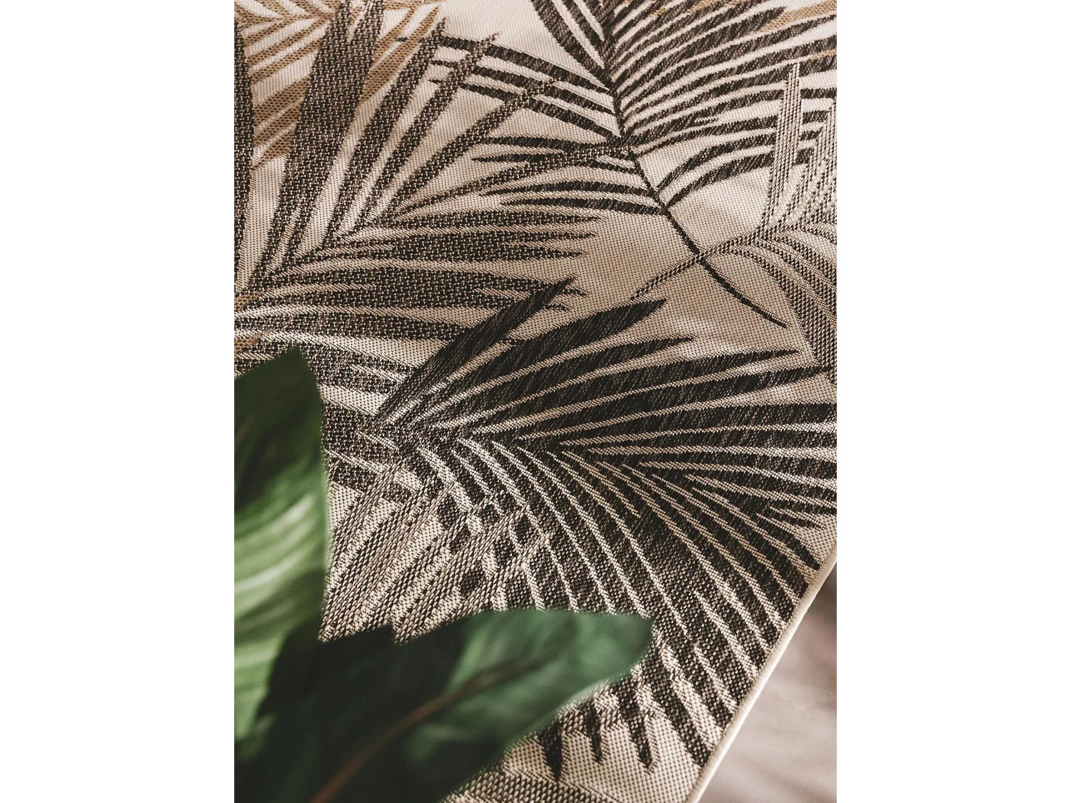 Tapis d'extérieur & intérieur Cleo Noir 240x340 cm