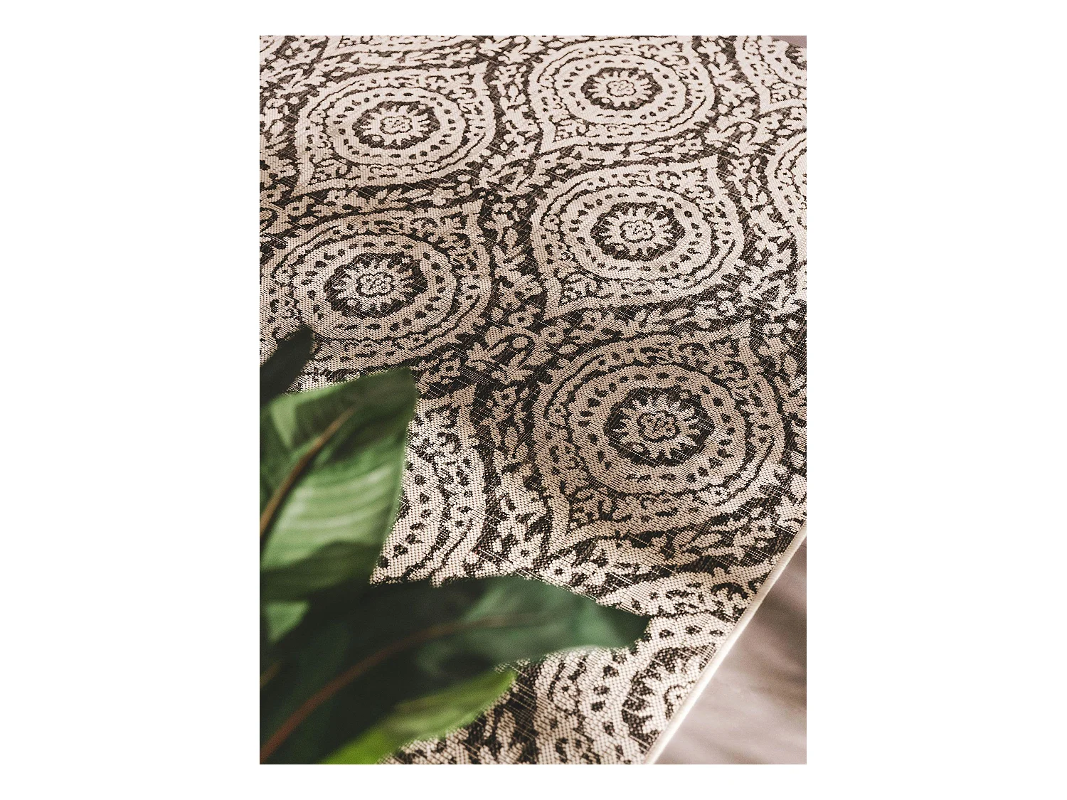 Tapis d'extérieur & intérieur Cleo Blanc & Noir 200x290 cm