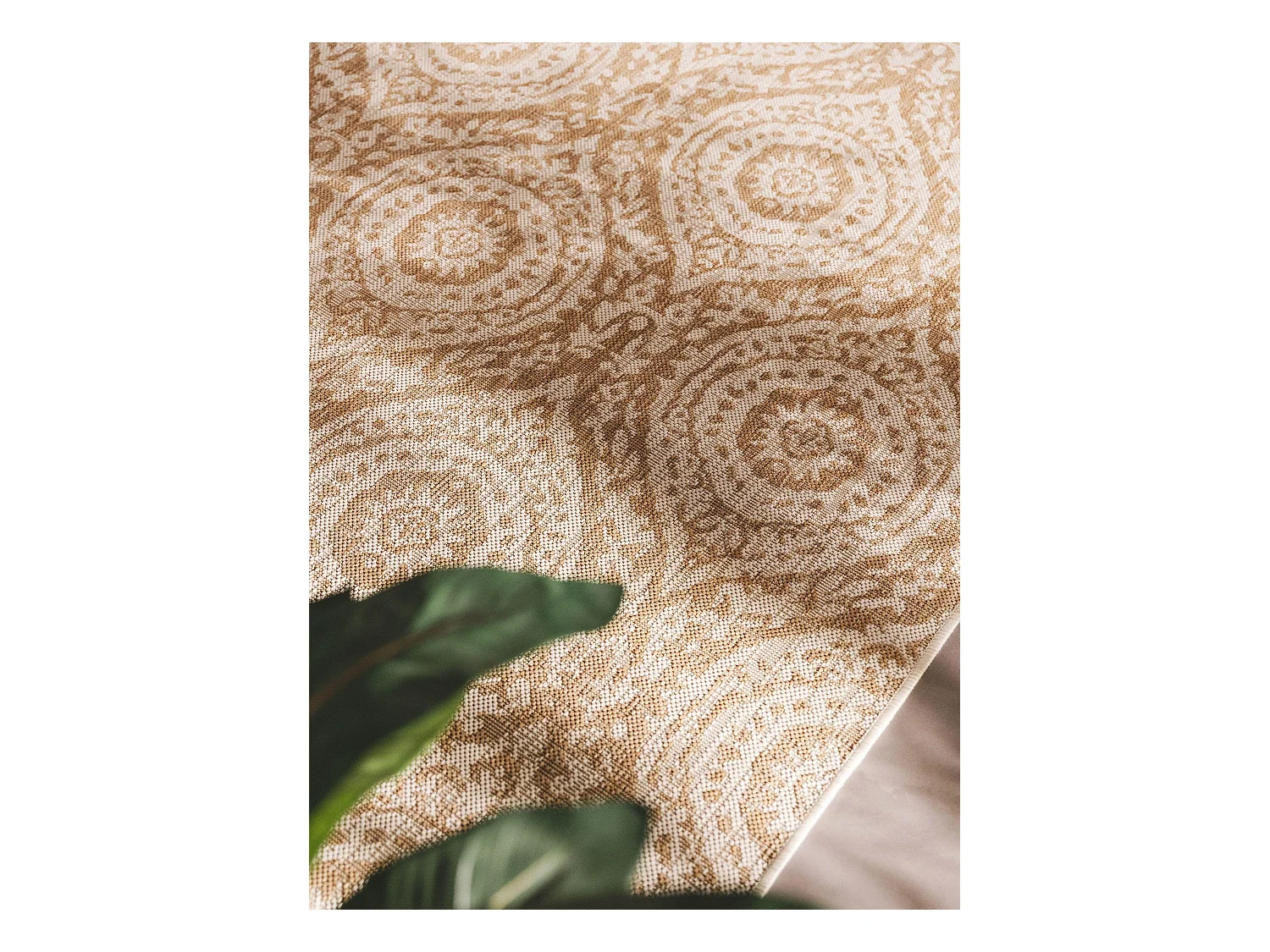 Tapis d'extérieur & intérieur Cleo Crème/Beige 240x340 cm