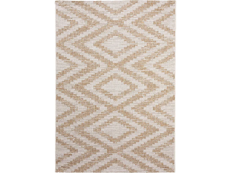 Tapis d'extérieur & intérieur Cleo Crème/Beige 200x290 cm