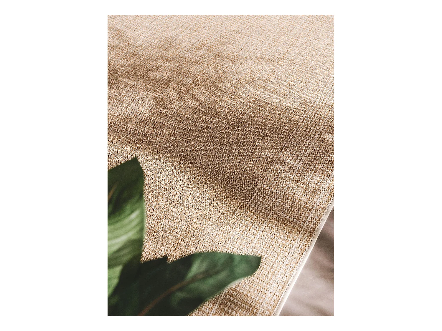 Tapis d'extérieur & intérieur Cleo Crème/Beige 240x340 cm