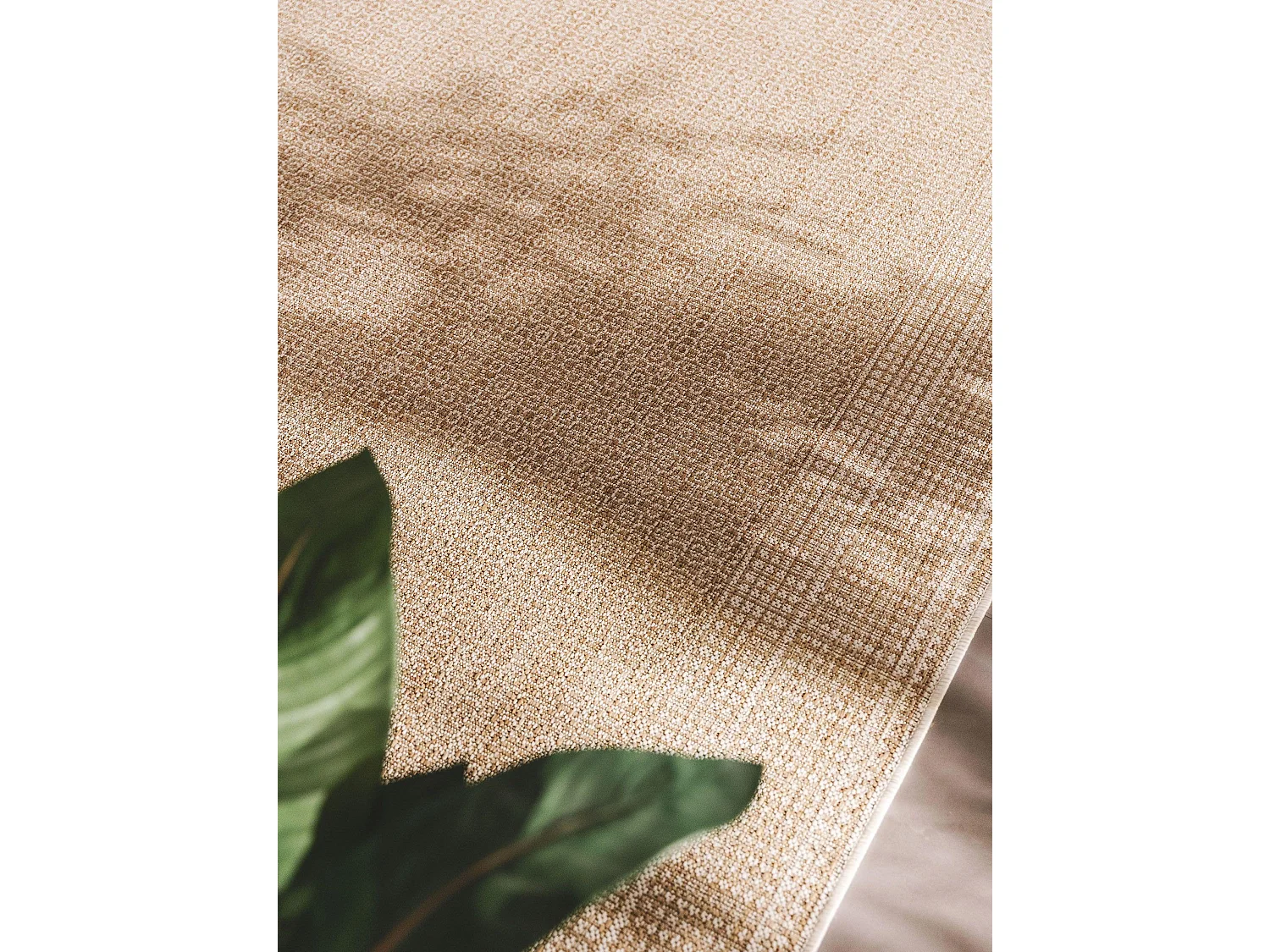 Tapis d'extérieur & intérieur Cleo Crème/Beige 240x340 cm