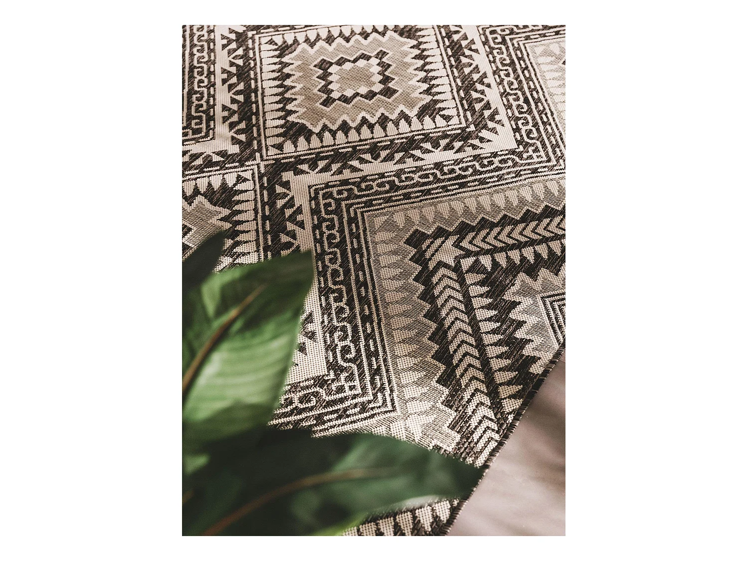 Tapis d'extérieur & intérieur Cleo Noir 200x300 cm