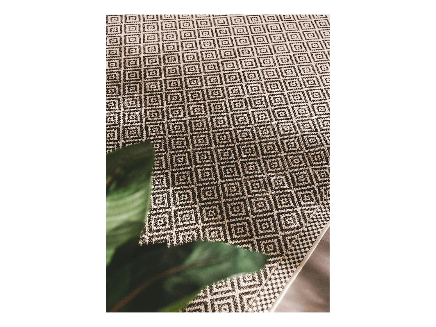 Tapis d'extérieur & intérieur Cleo Blanc & Noir 240x340 cm