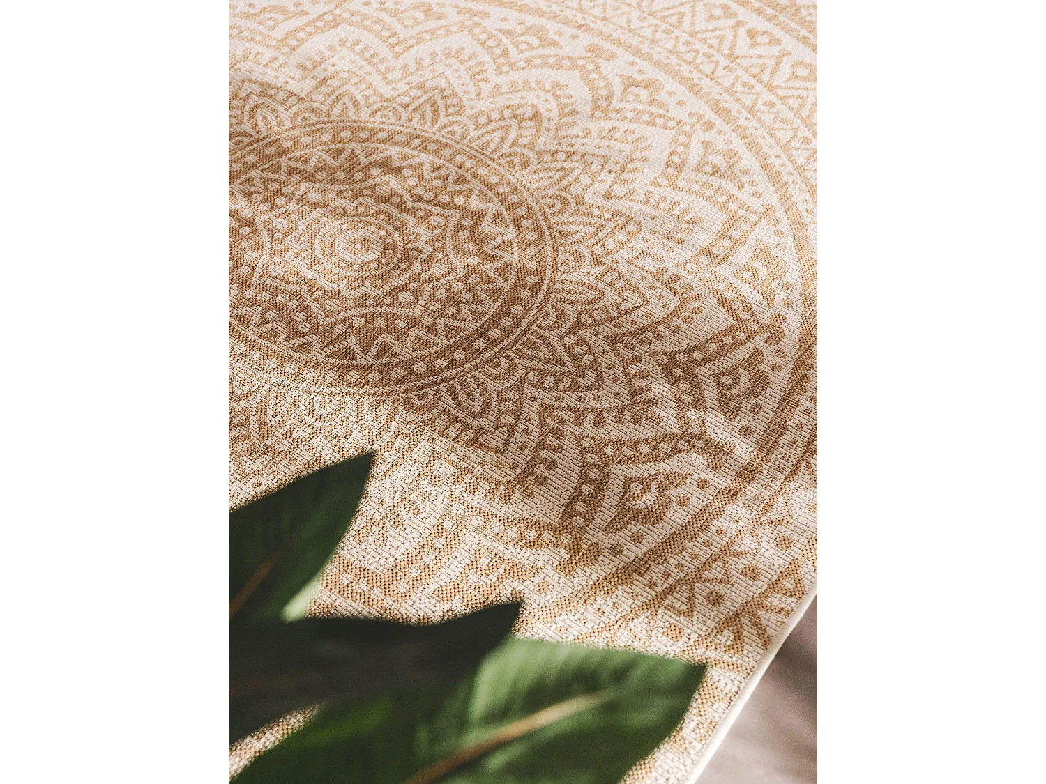 Tapis d'extérieur & intérieur Cleo Crème/Beige 240x340 cm