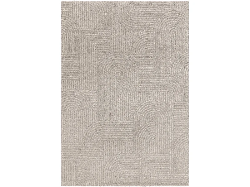 Tapis Tacoma Gris clair 160x230 cm
