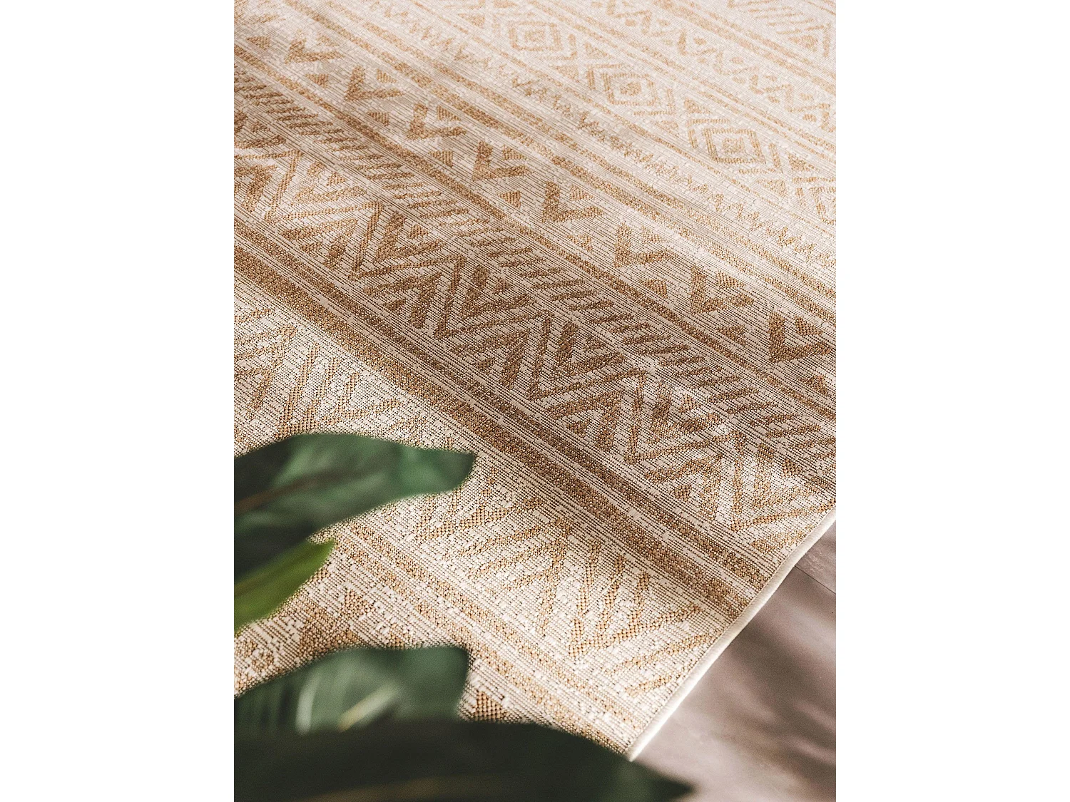 Tapis d'extérieur & intérieur Cleo Crème/Beige 80x150 cm