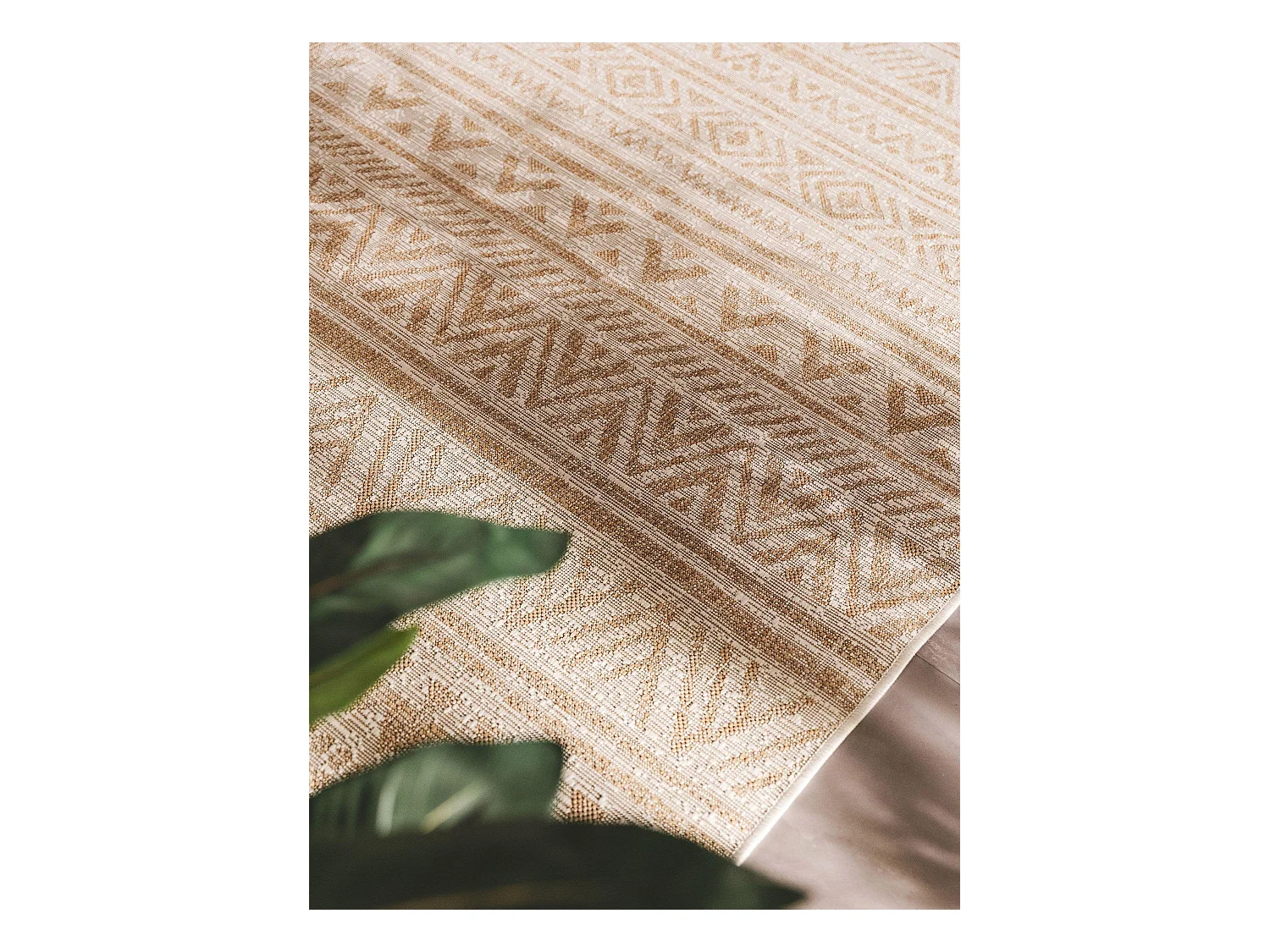 Tapis d'extérieur & intérieur Cleo Crème/Beige 200x290 cm