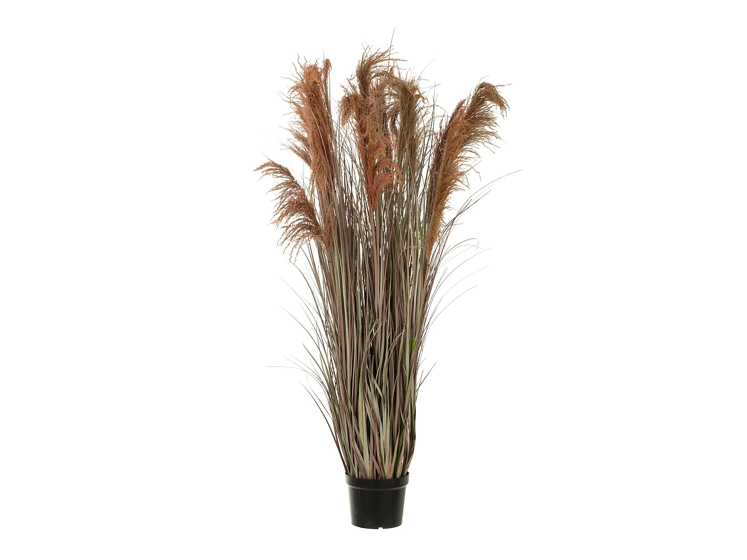 Herbe de Pampas Artificielle en Pot "13 Têtes" 180cm Vert & Orange