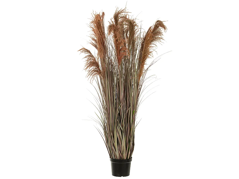 Herbe de Pampas Artificielle en Pot "13 Têtes" 180cm Vert & Orange