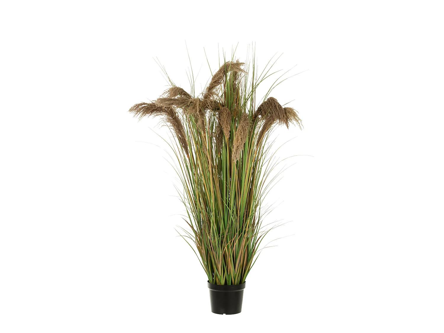 Herbe de Pampas Artificielle en Pot "13 Têtes" 180cm Vert & Beige