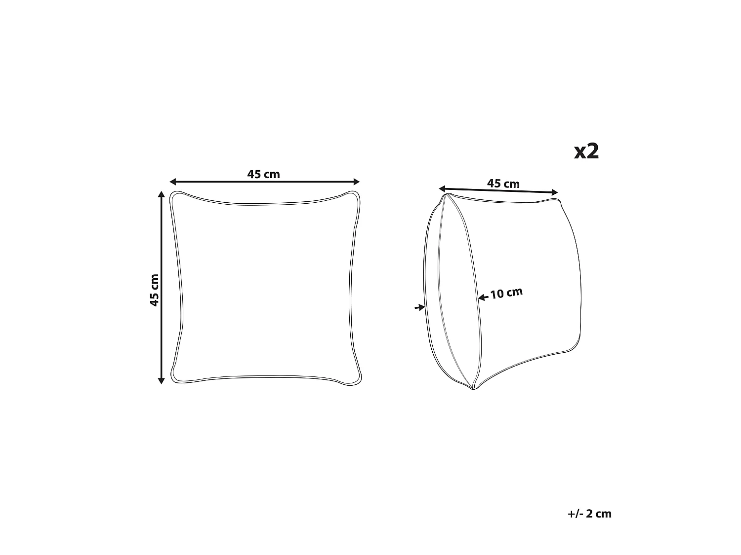 Set di 2 cuscini PICTUS Velluto 45 x 45 cm Verde Trama di piante
