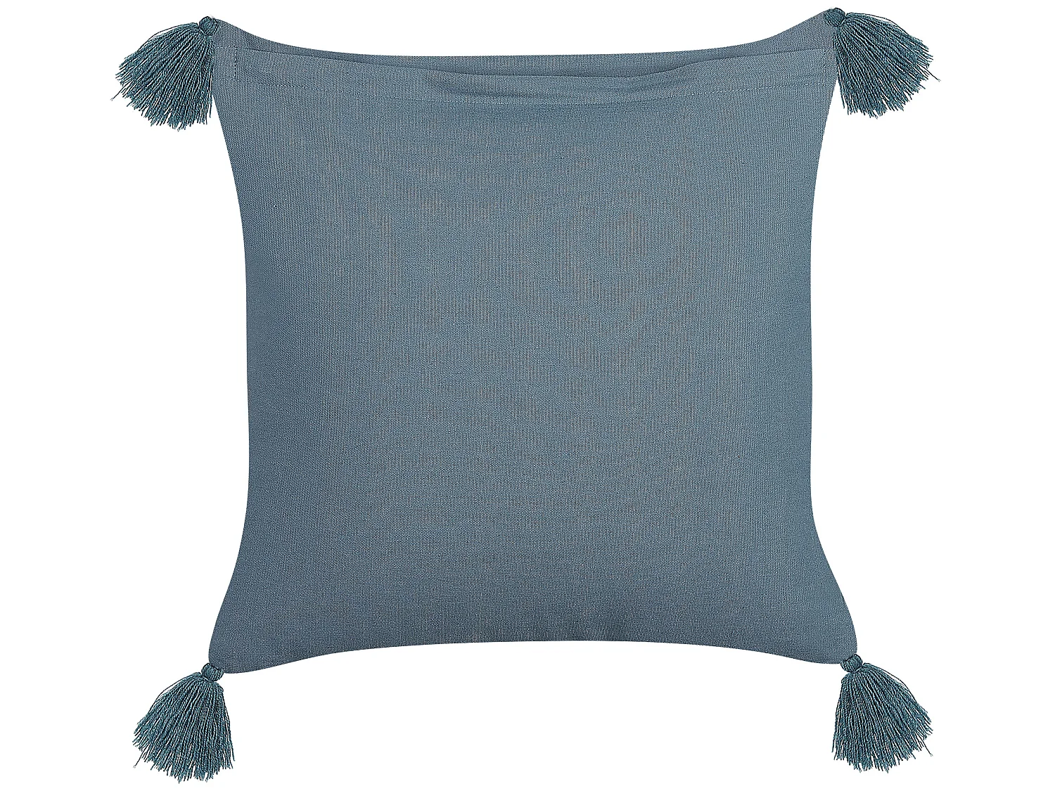 Set di 2 cuscini RIBES Velluto 45 x 45 cm Blu scuro Trama floreale