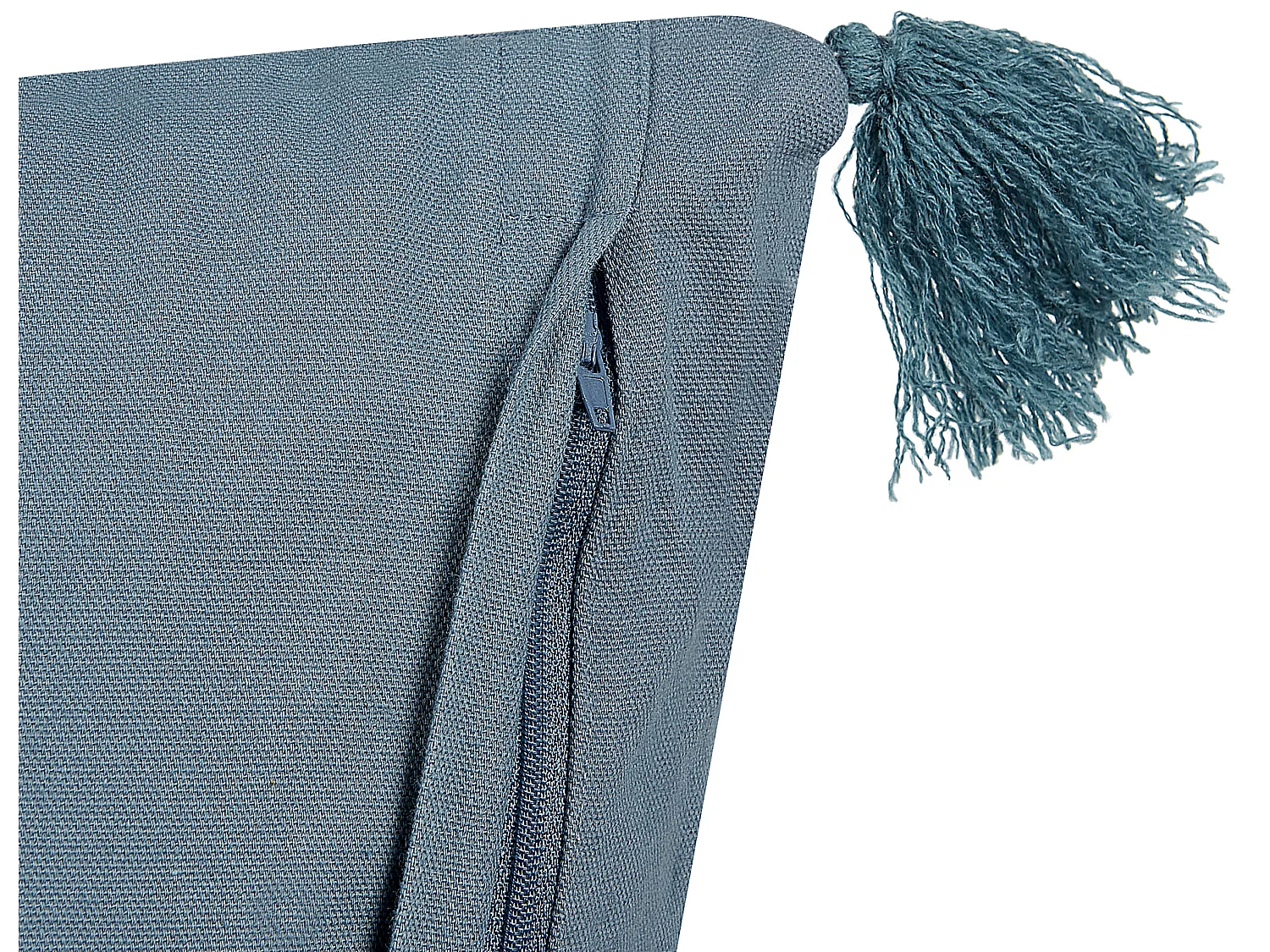 Set di 2 cuscini RIBES Velluto 45 x 45 cm Blu scuro Trama floreale