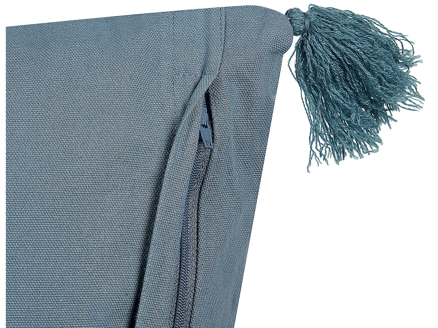 Lot de 2 coussins décoratifs SETARIA Velours 45 x 45 cm Bleu foncé Motif de plante