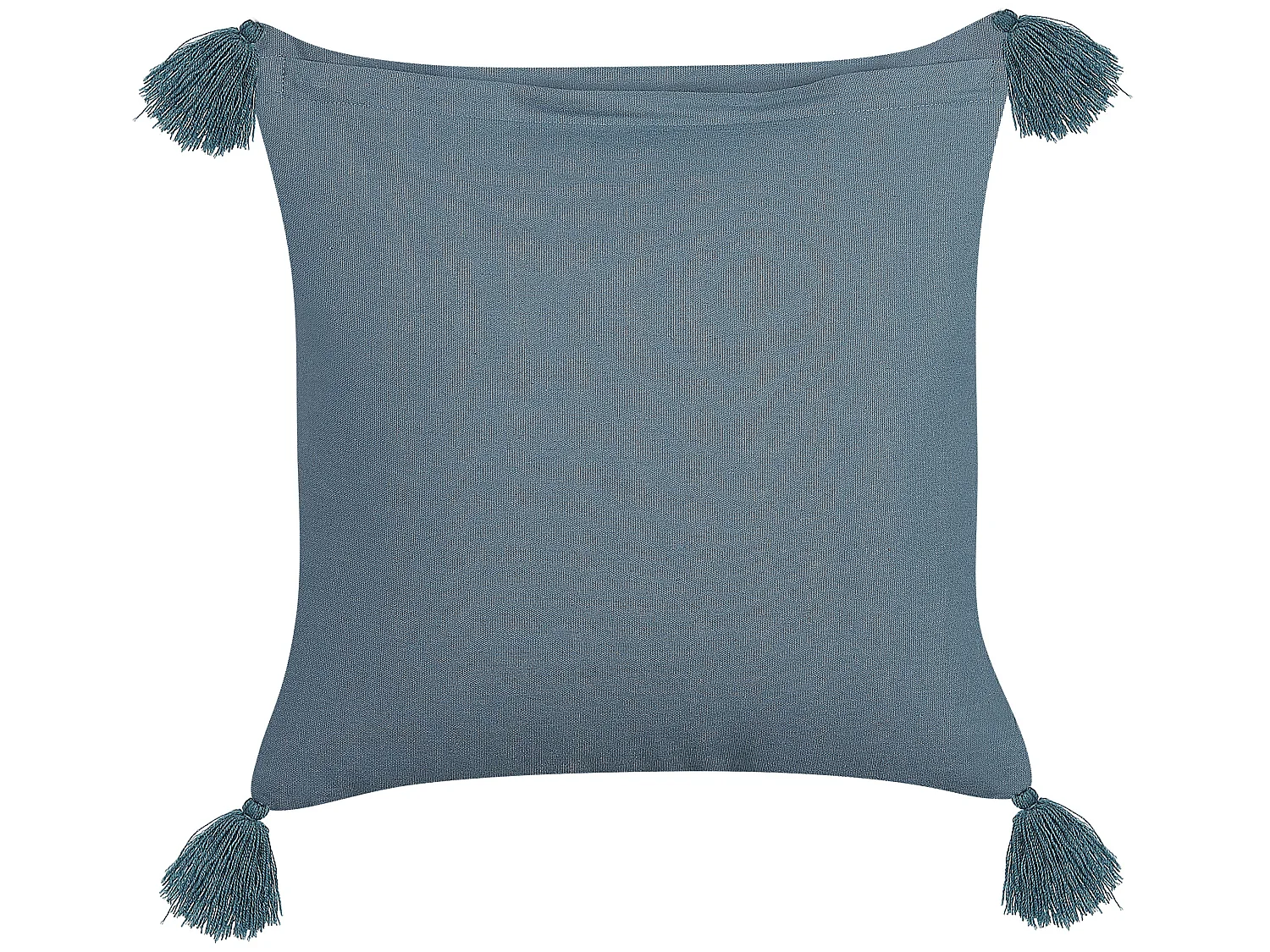 Dekokissen mit Füllung Quasten Blumenmuster blau Samt 45 x 45 cm Modern Ribes