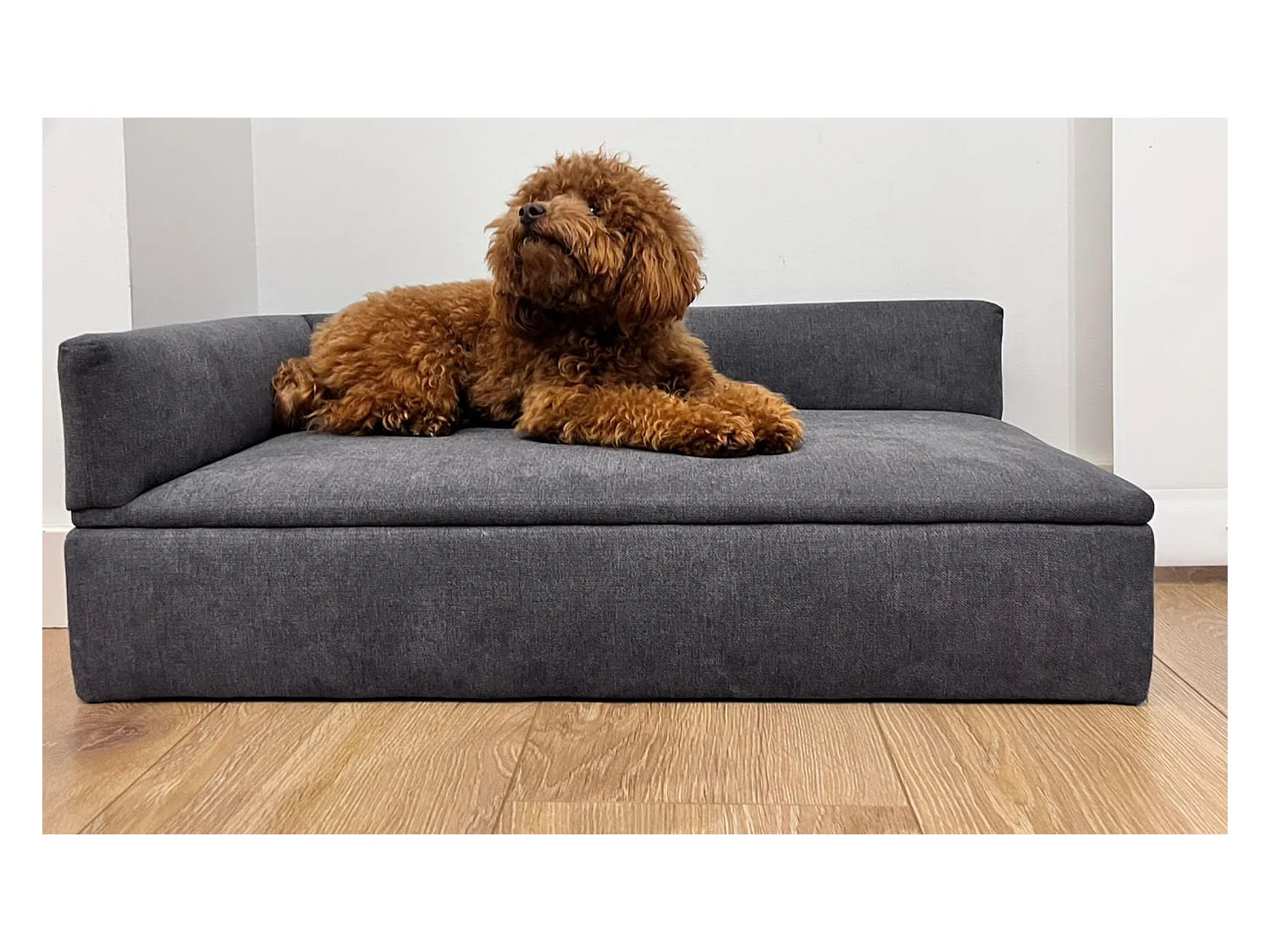 Divano letto "DUQUE", 71x42x24cm, per cani di piccola e media taglia, tessuto speciale resistente, comodo schienale e base imbottita.