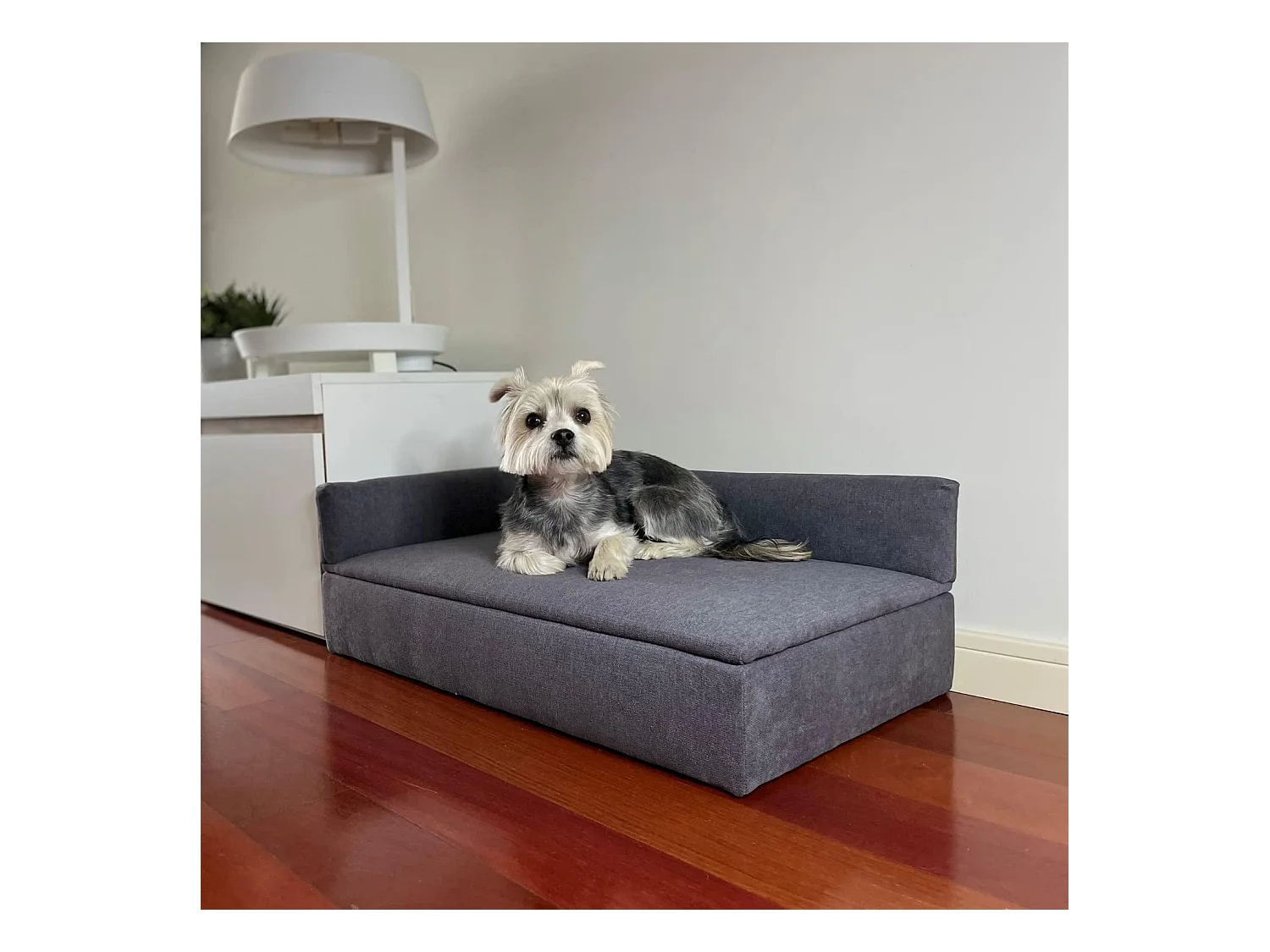 Divano letto "DUQUE", 71x42x24cm, per cani di piccola e media taglia, tessuto speciale resistente, comodo schienale e base imbottita.