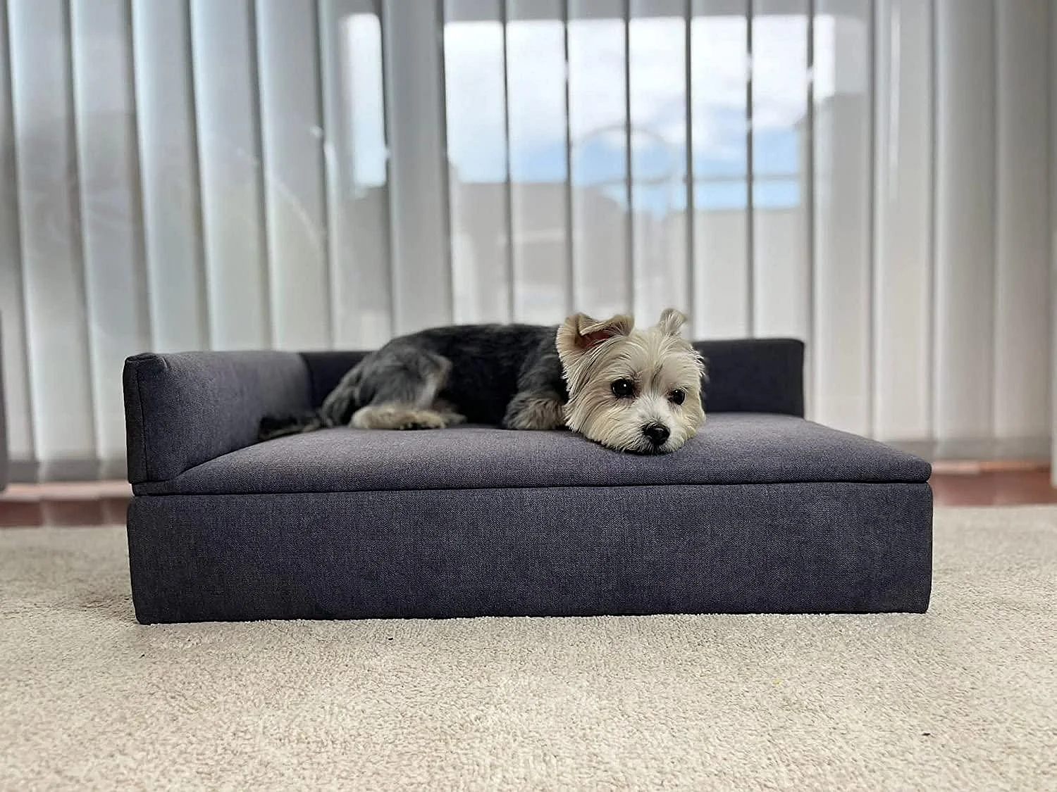 Sofa bed met canapé, Duke Model, 71x42x24 cm, Voor huisdieren, honden of katten, Grijs, Comfortabele ondersteuning