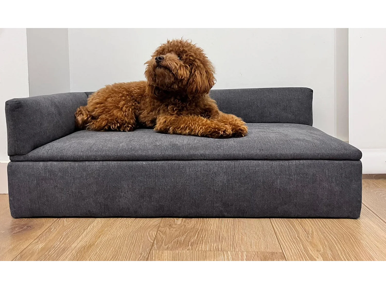 Canapé-lit DUQUE 71x42x24cm pour chiens petits-moyens