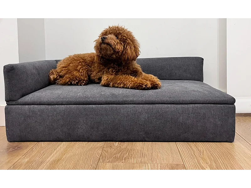 Divano letto "DUQUE", 71x42x24cm, per cani di piccola e media taglia, tessuto speciale resistente, comodo schienale e base imbottita.