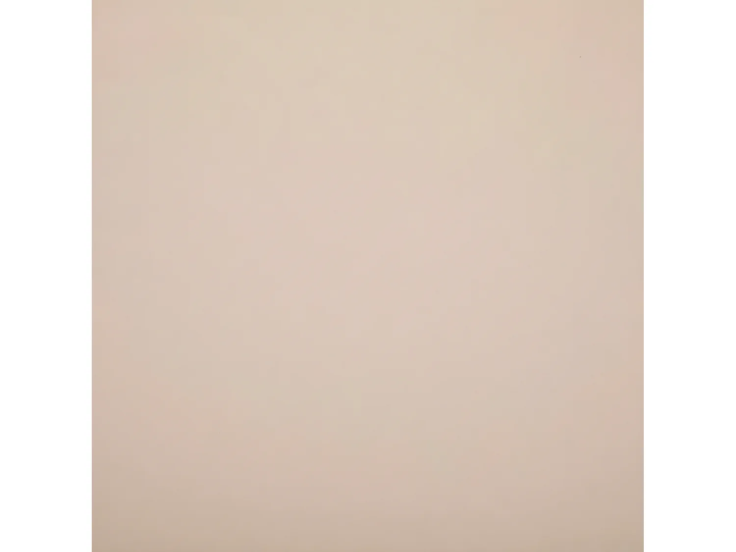 Chaise de table Assise Beige et Pieds en Bois de Hêtre