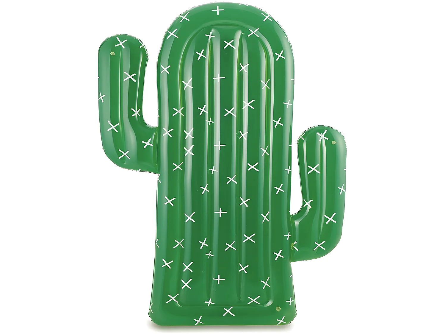 Cactus hinchable " - 175 x 113 x 15 cm