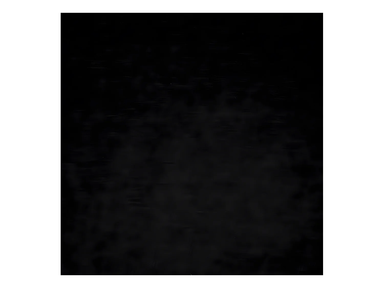 Chaise Fauteuil de table avec accoudoirs Noir et pieds en métal