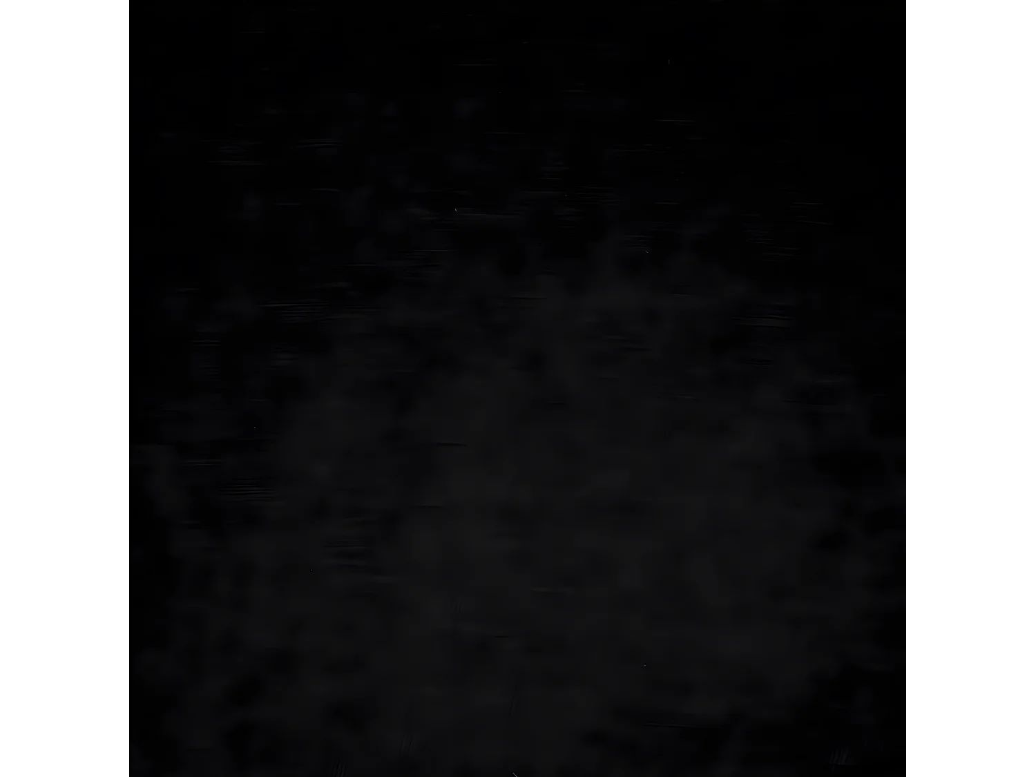 Chaise Fauteuil de table avec accoudoirs Noir et pieds en métal