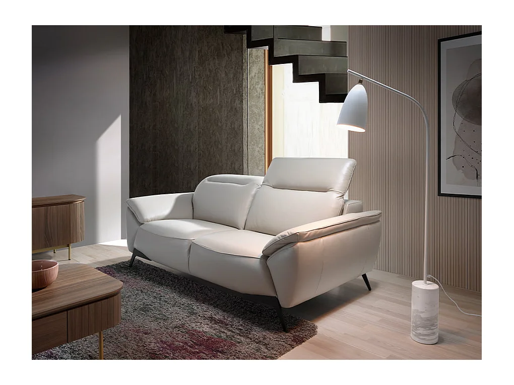 Canapé 2 places en cuir gris taupe 6131 ANGEL CERDA