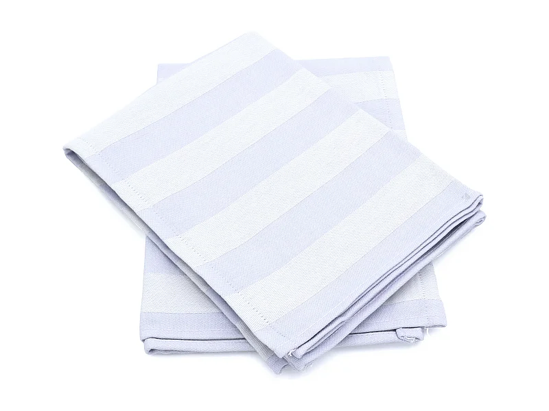 Lot de 2 torchons de cuisine toile 50x70 cm coton PAT II bleu