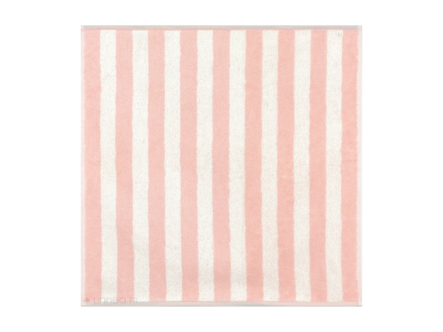 Lot de 2 torchons de cuisine éponge 50x50 cm coton PAT II rose