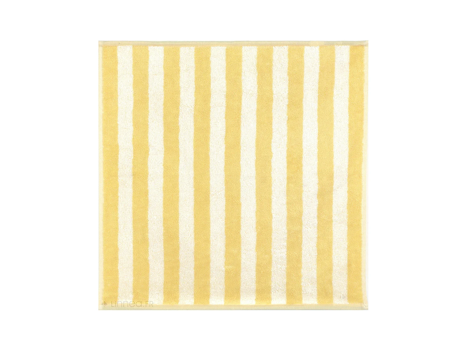 Lot de 2 torchons de cuisine éponge 50x50 cm coton PAT II jaune