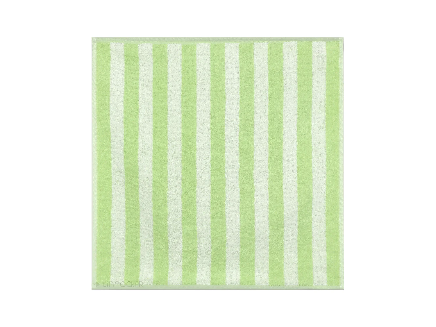 Lot de 2 torchons de cuisine éponge 50x50 cm coton PAT II vert