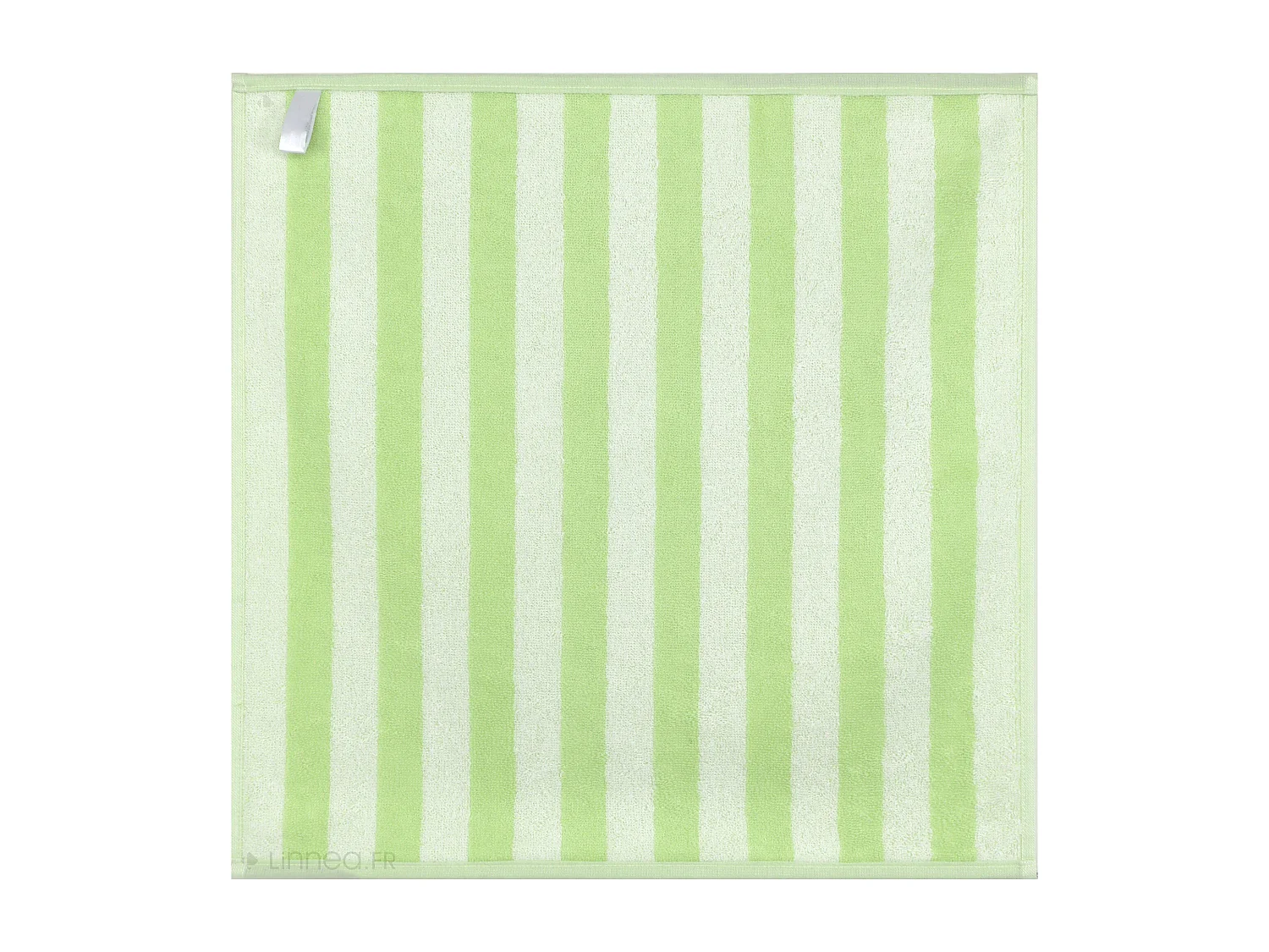 Lot de 2 torchons de cuisine éponge 50x50 cm coton PAT II vert