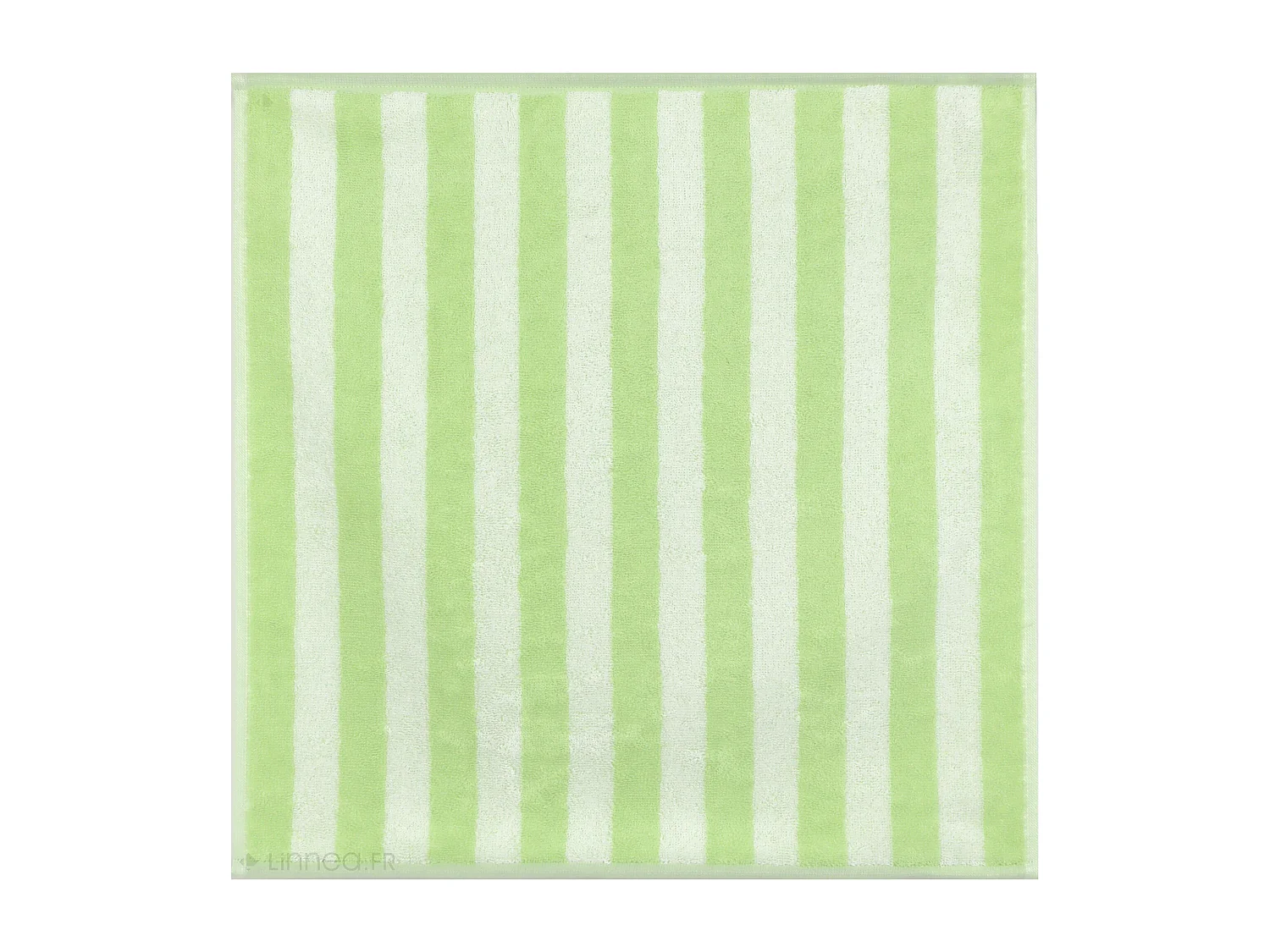 Lot de 2 torchons de cuisine éponge 50x50 cm coton PAT II vert