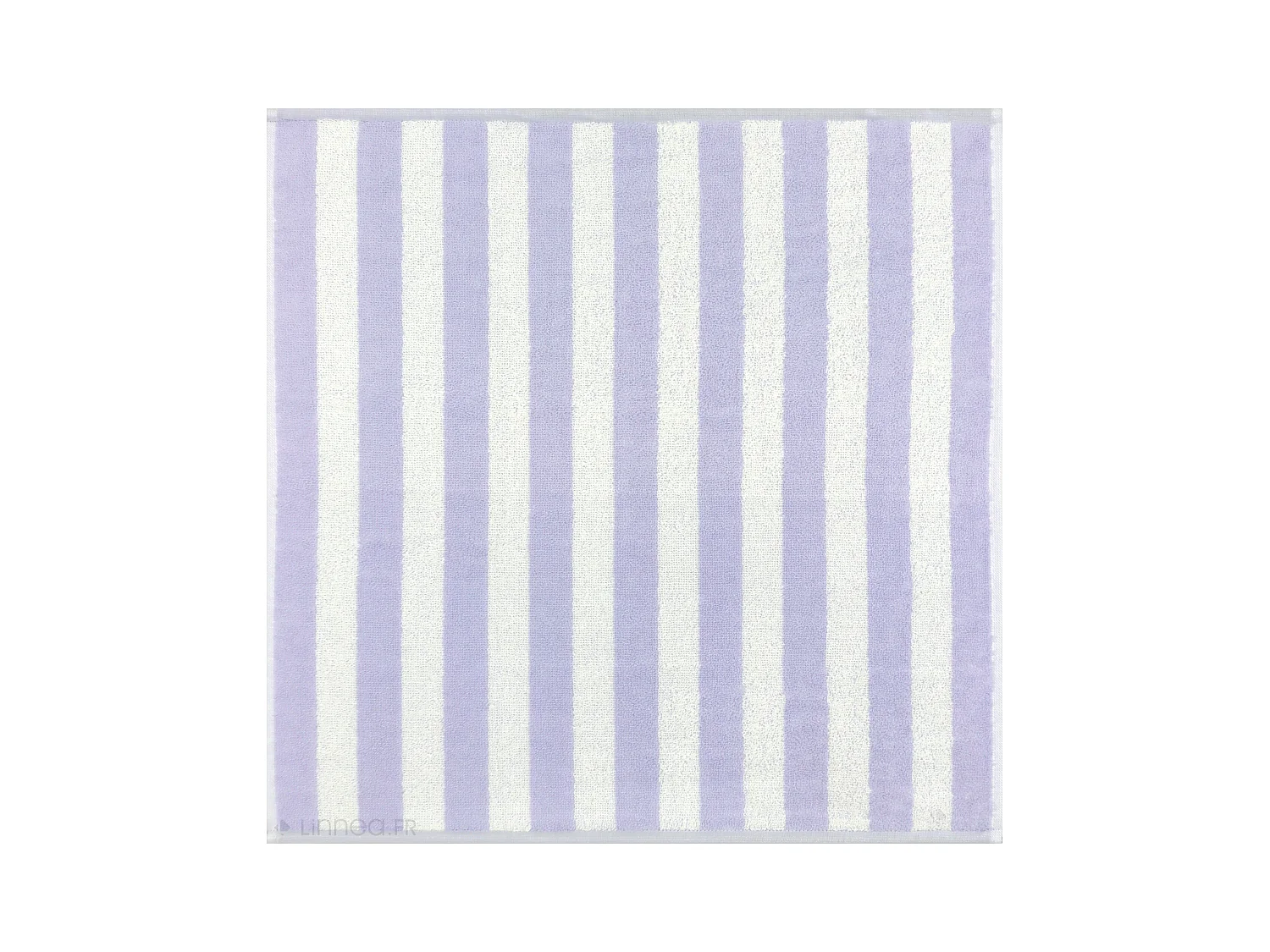 Lot de 2 torchons de cuisine éponge 50x50 cm coton PAT II bleu