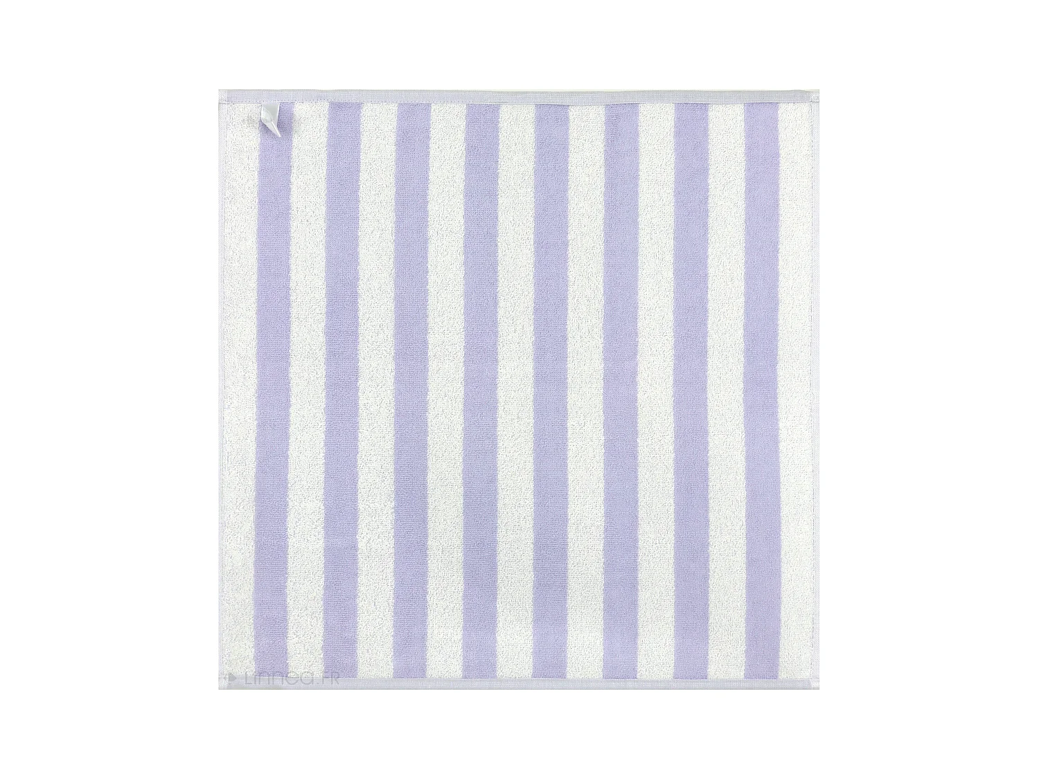 Lot de 2 torchons de cuisine éponge 50x50 cm coton PAT II bleu