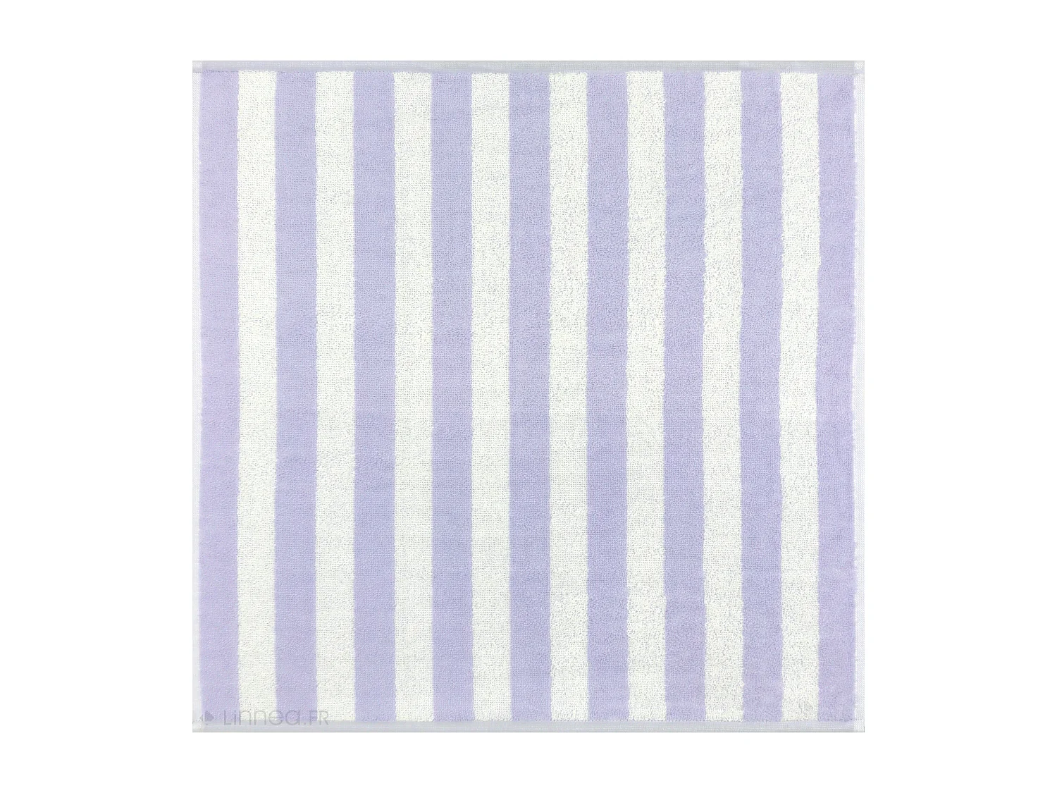 Lot de 2 torchons de cuisine éponge 50x50 cm coton PAT II bleu