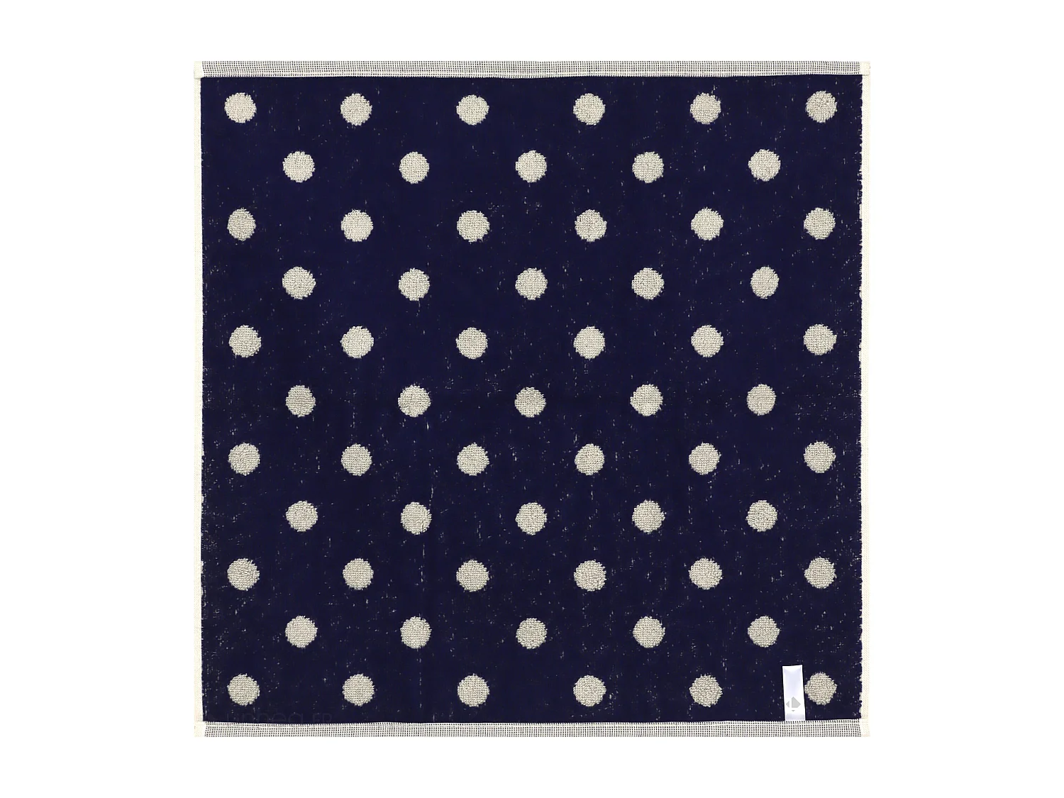 Lot de 2 torchons de cuisine éponge 50x50 cm coton SPOT bleu