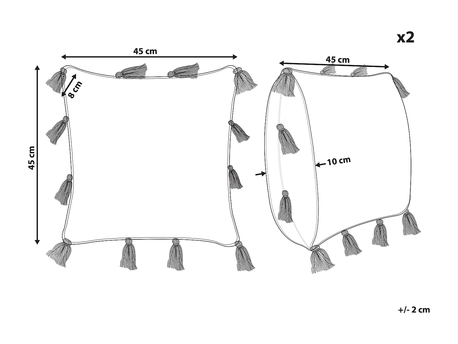 Lot de 2 coussins décoratifs TORENIA Coton 45 x 45 cm Rose Motif géométrique
