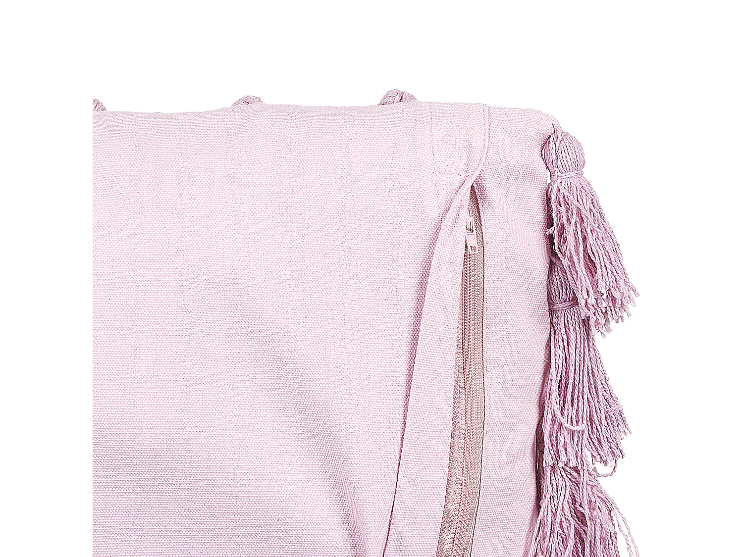 Throw Cushion LYNCHIS Cotton 45 x 45 cm Pink