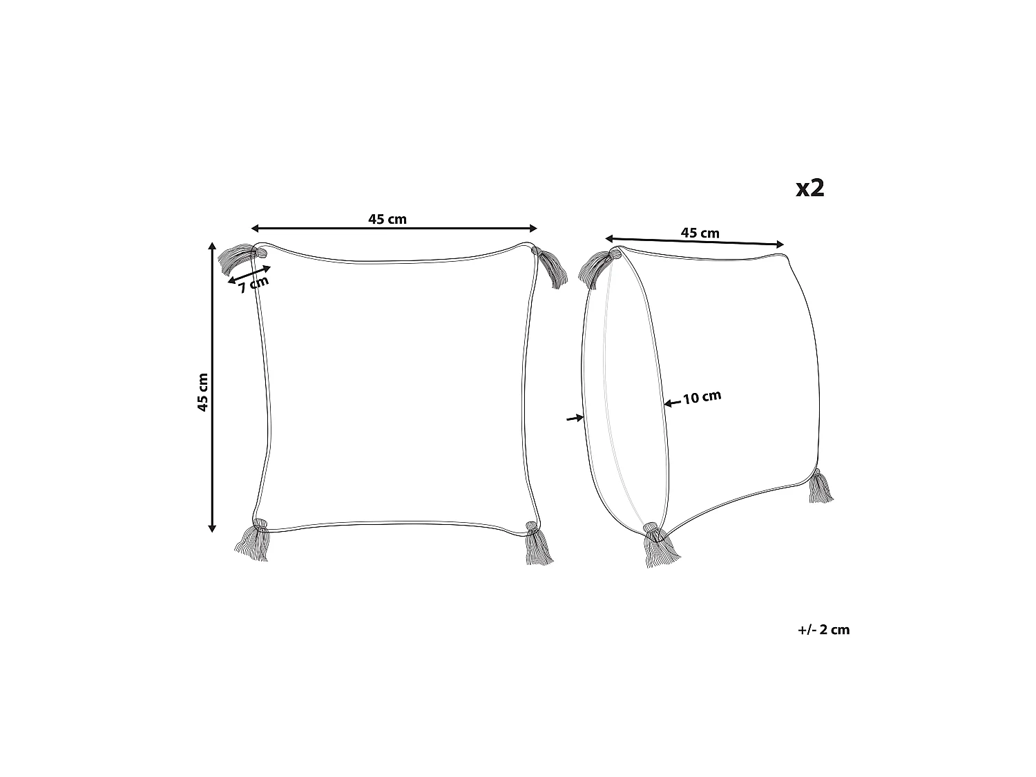 Lot de 2 coussins décoratifs JACARANDA Coton 45 x 45 cm Bleu Motif géométrique