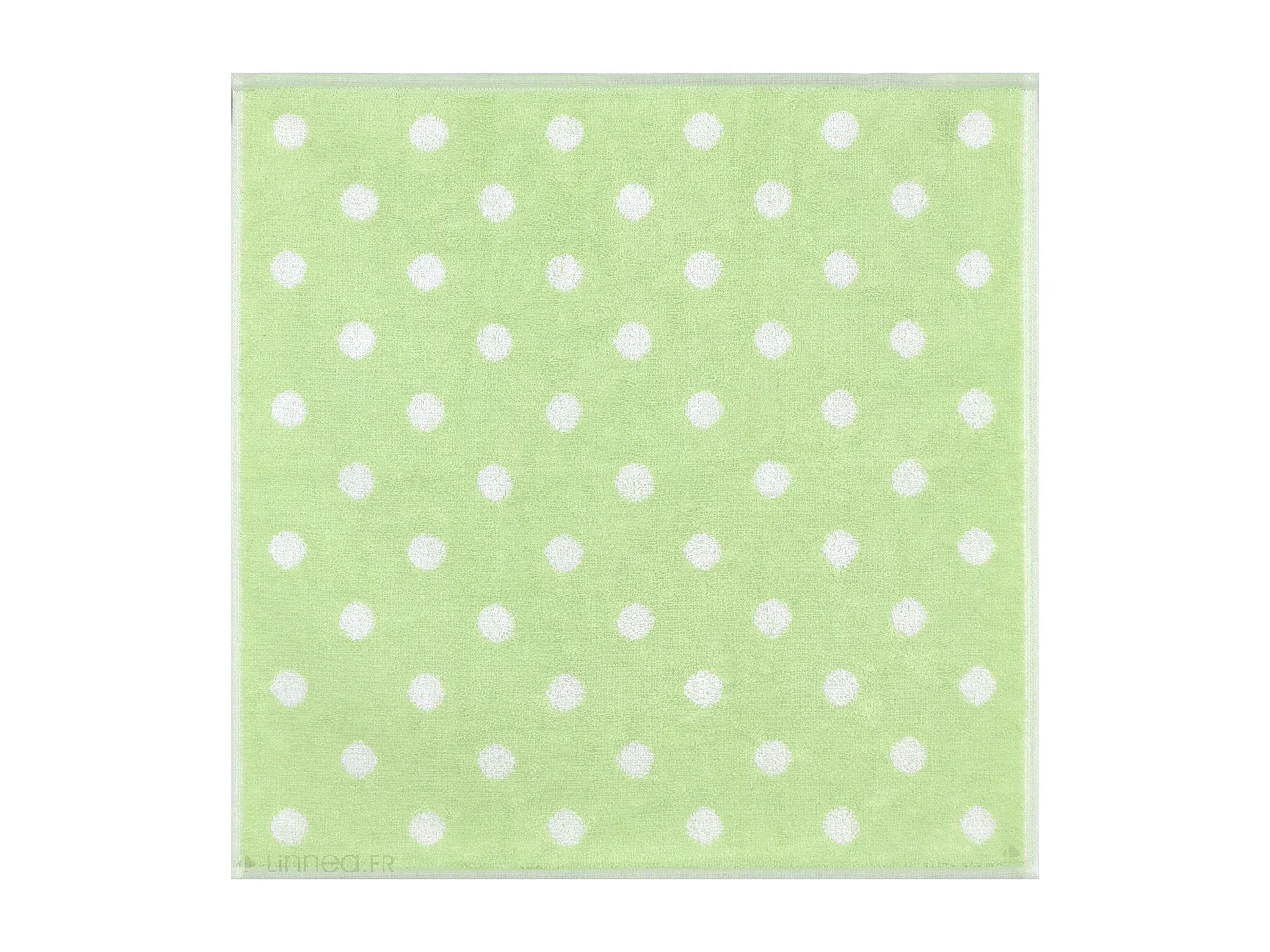 Lot de 2 torchons de cuisine éponge 50x50 cm coton SPOT II vert