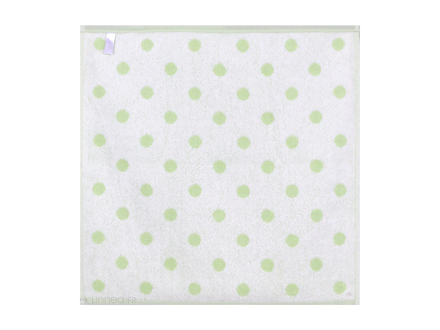 Lot de 2 torchons de cuisine éponge 50x50 cm coton SPOT II vert