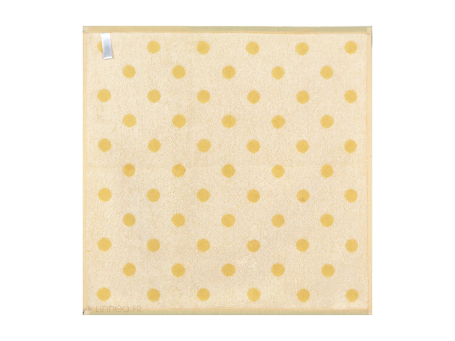 Lot de 2 torchons de cuisine éponge 50x50 cm coton SPOT II jaune